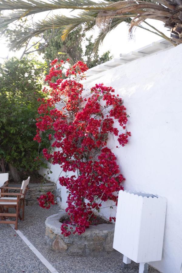 Petit Andromeda Mykonos I Aparthotel Mykonos Town Exterior photo